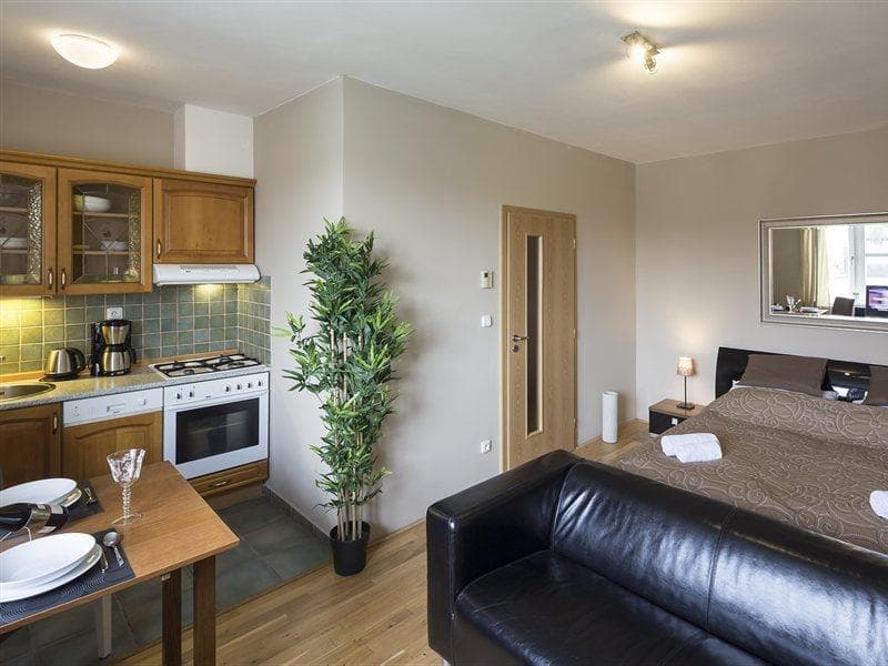 Apartments Wenceslas Square