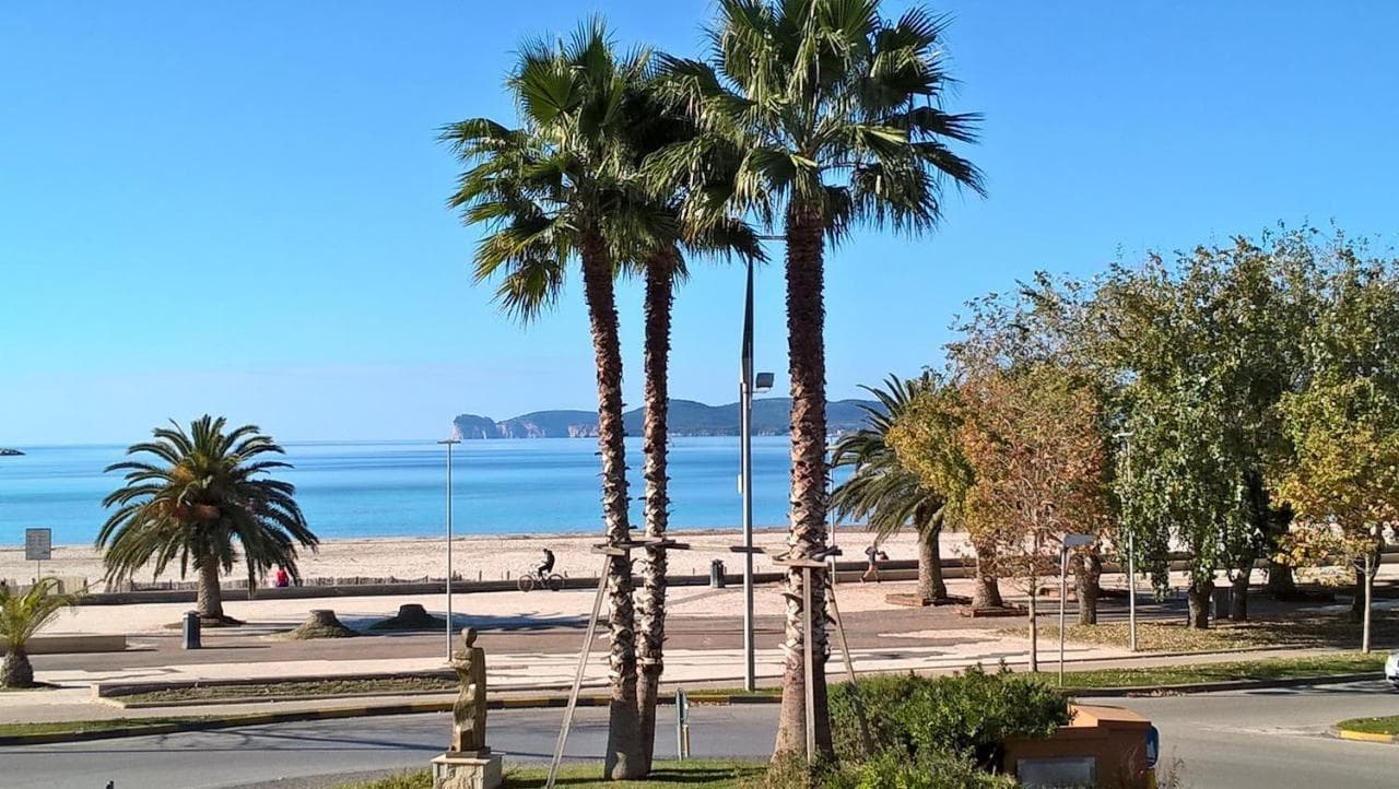 Orange Sunset, Seaview & Beach Front