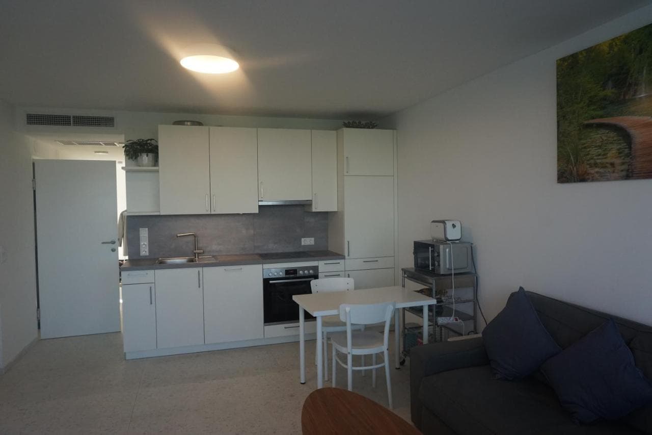 Augartenblick Penthaus 17 - Blick Zum Riesenrad