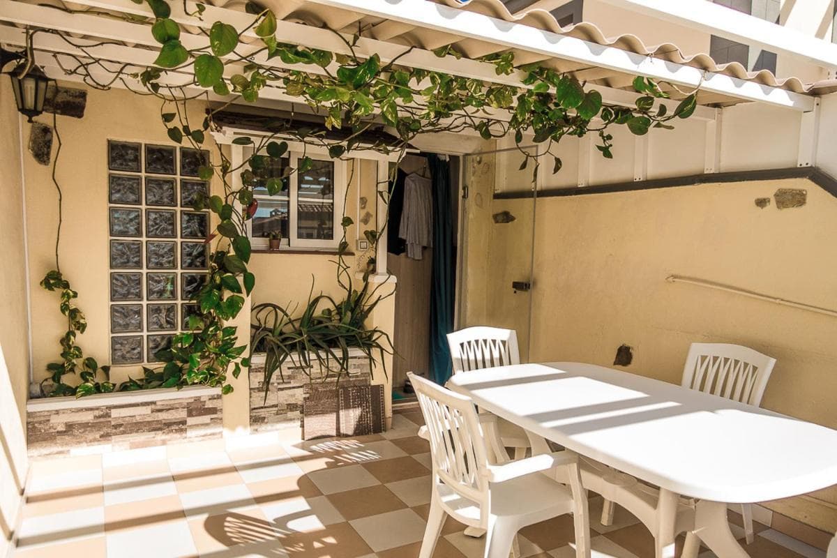 Petunia 75 (Adults Only)