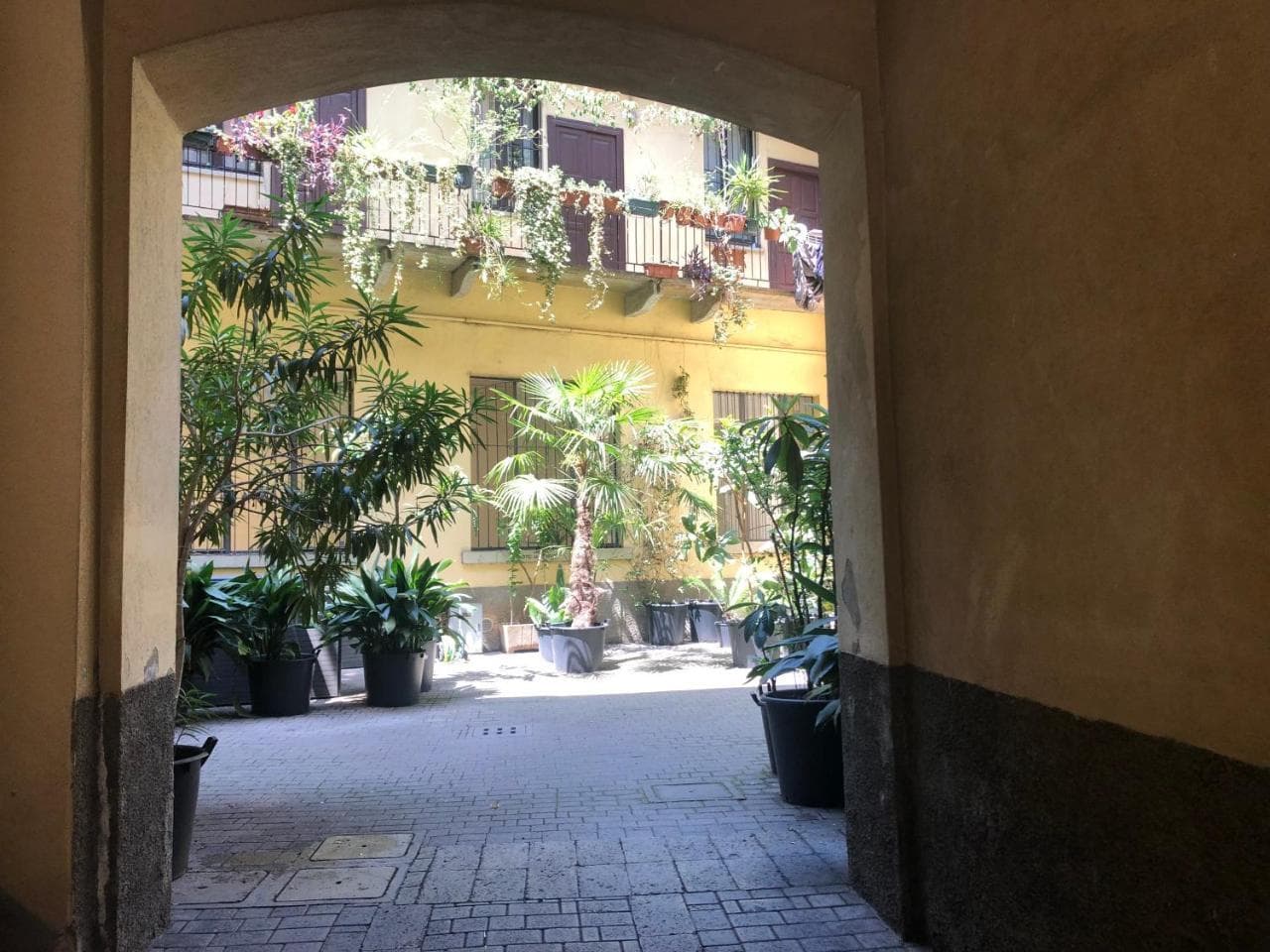 Il Tetto Fiorito Dell'isola