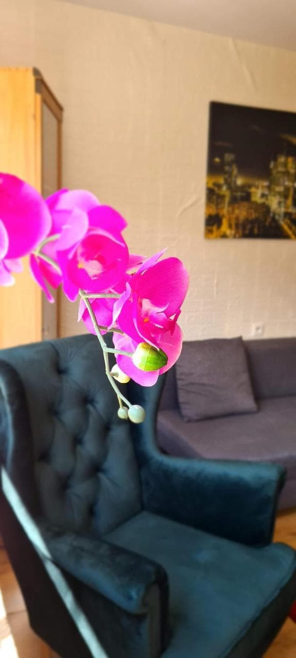 Apartament W Centrum Warszawy I