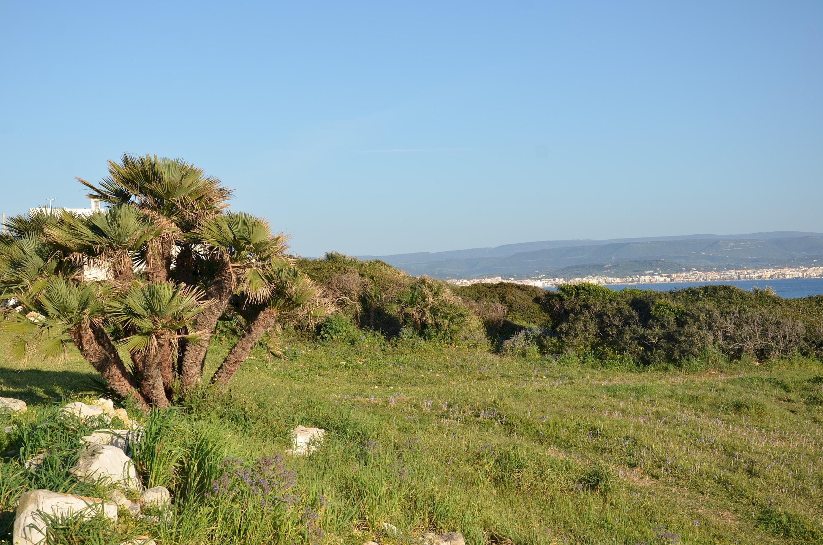 Appartamento Fronte Mare Fertilia - Faho-Gav01