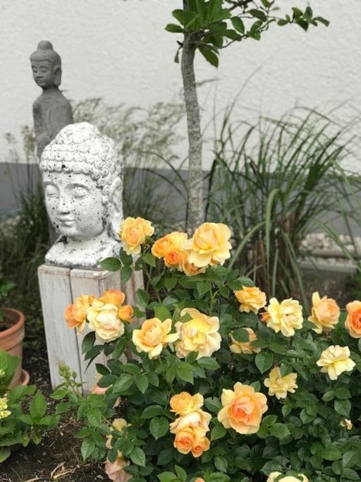 Appartment Im Architektenhaus - 53qm-2 Schlafzimmer-Kuche-Bad -2min Von A8 - Ruhig