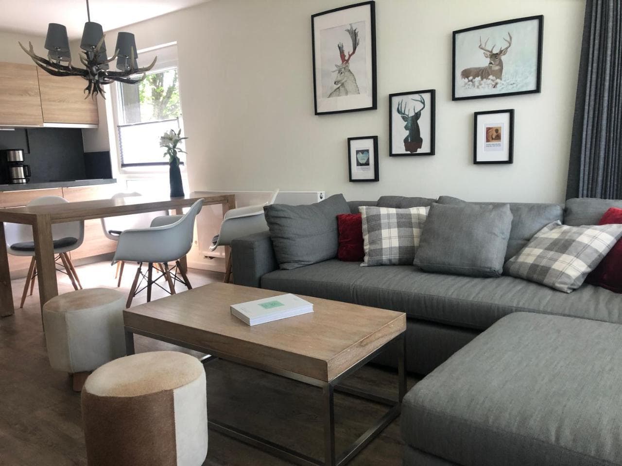 Apartment Bergsucht - Modern, Gemutlich, Zentrale, Ruhige Lage