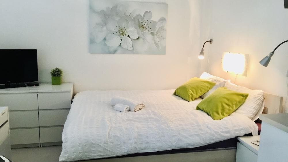 Hotel Flat in the Heart of Prague