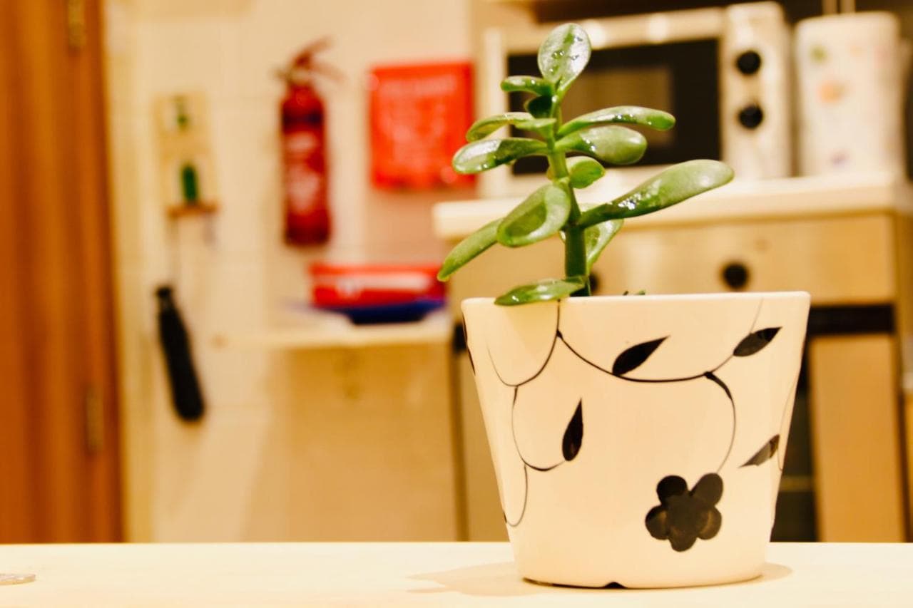 Charming Home in Republic Street