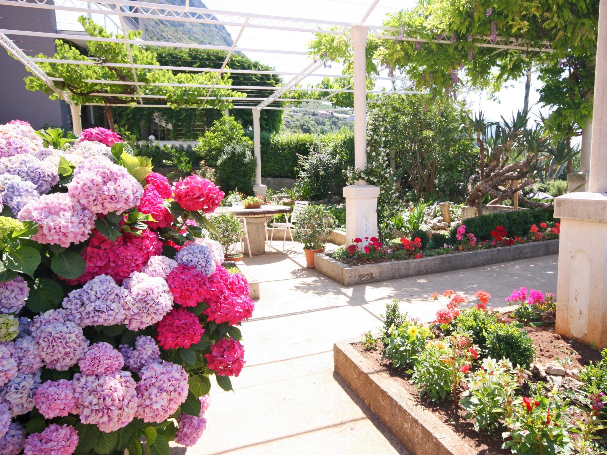 Apartments Cakelic 2