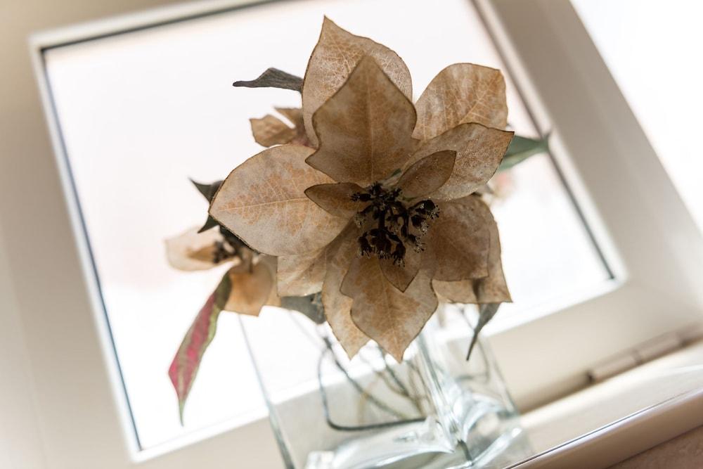 Apartments Sandito 2