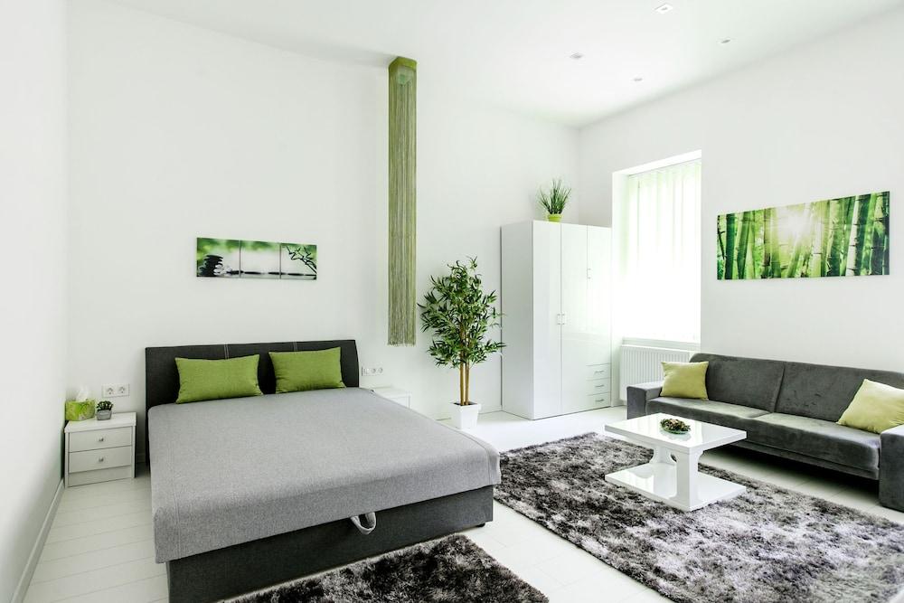 Zirnyi 9 Apartment 1