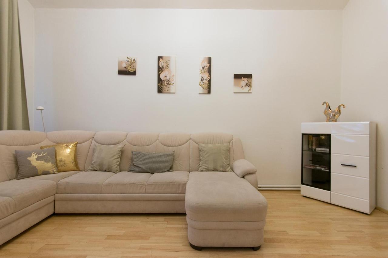 Spacious Apartment Near Wenceslas Square 1