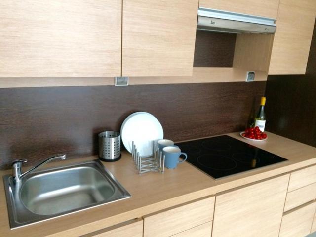 Luxury Apartment Piekna 2