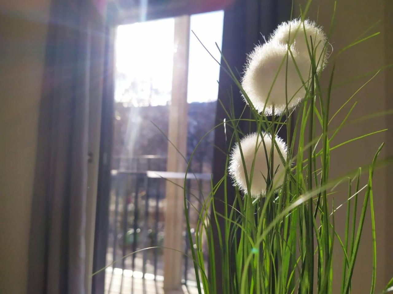 Deluxe Parkapartment Vienna City Center - Free Parking!