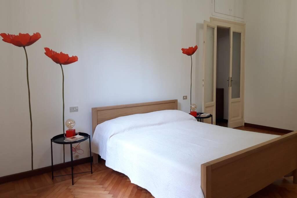 Nice Apartment in the City Center