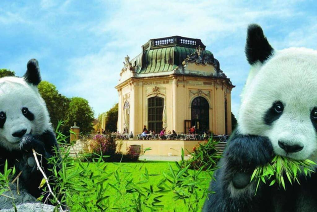 Zwischen Schonbrunn Und Dem City Center. Apt. 38 2