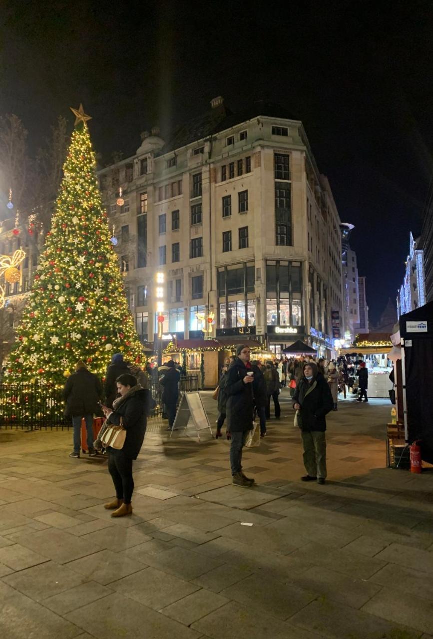 Budapest Luxury Apartments 2