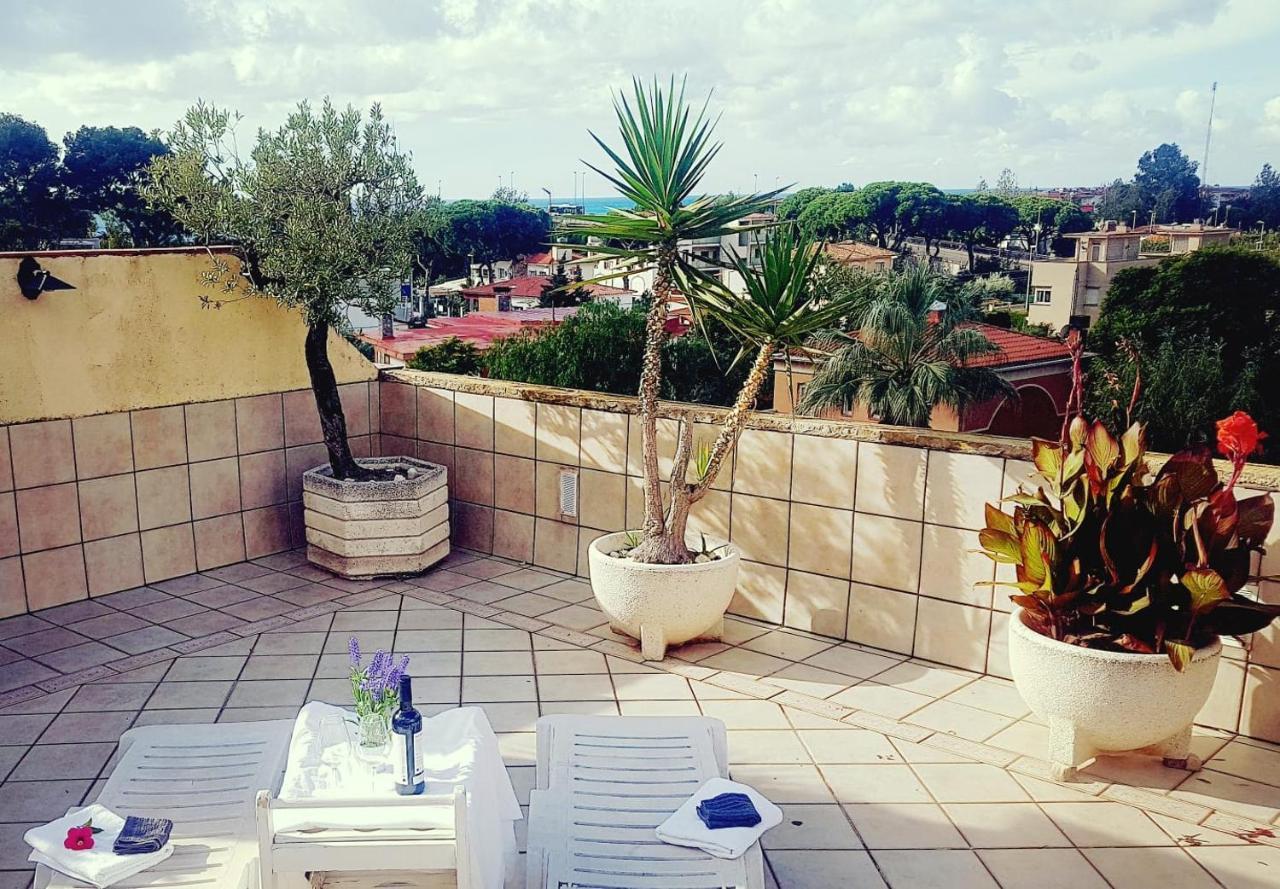 Sun Beach & Guests 2