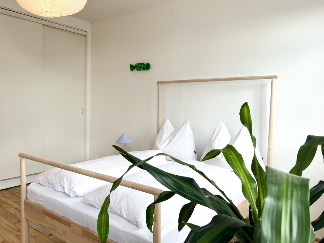 Central Apartment Next To Belvedere Castle 2