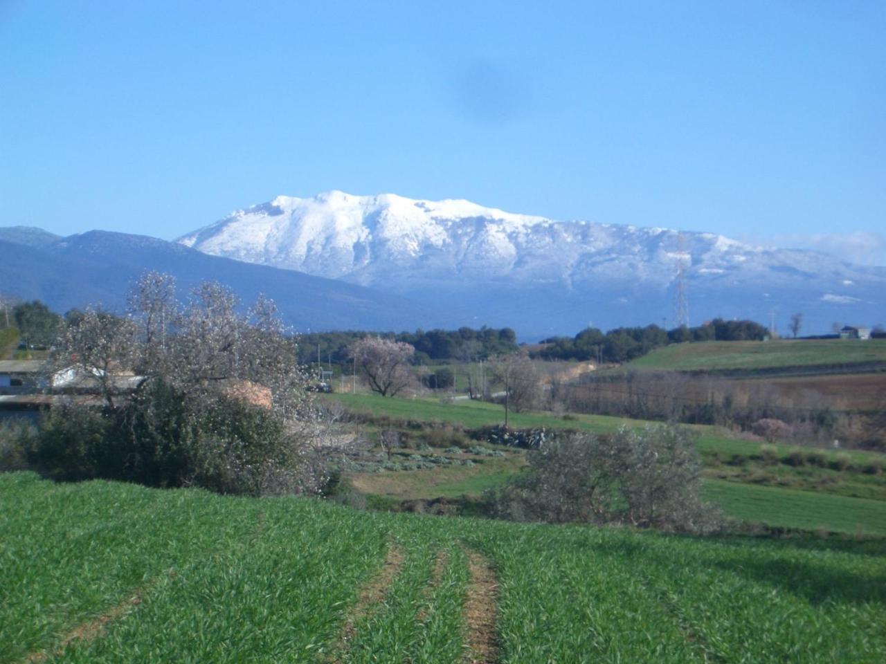 Mas Cabrit (Adults Only) 2