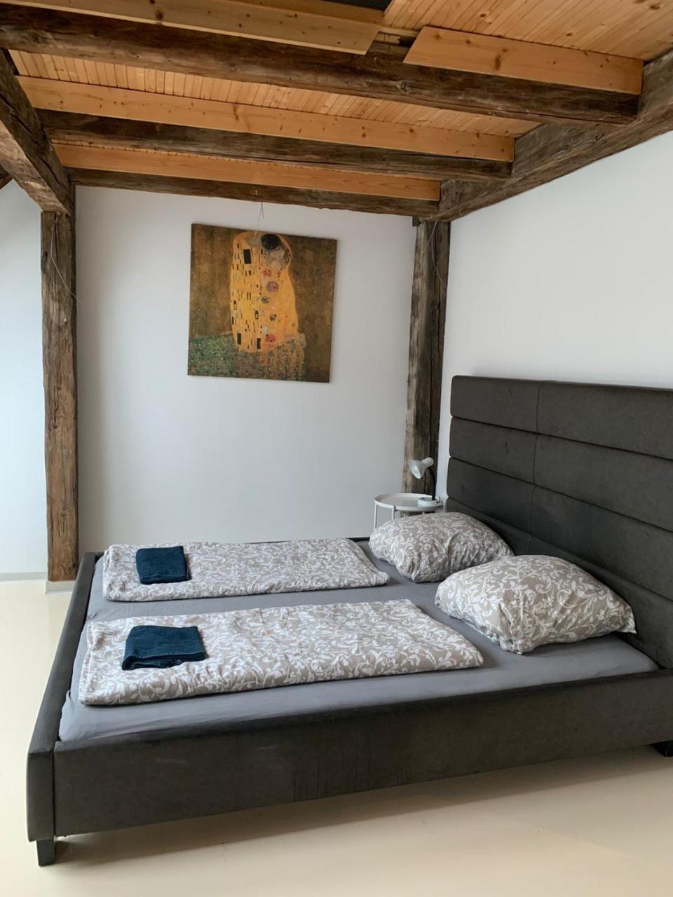 Central Living Apartments - Berggasse 1