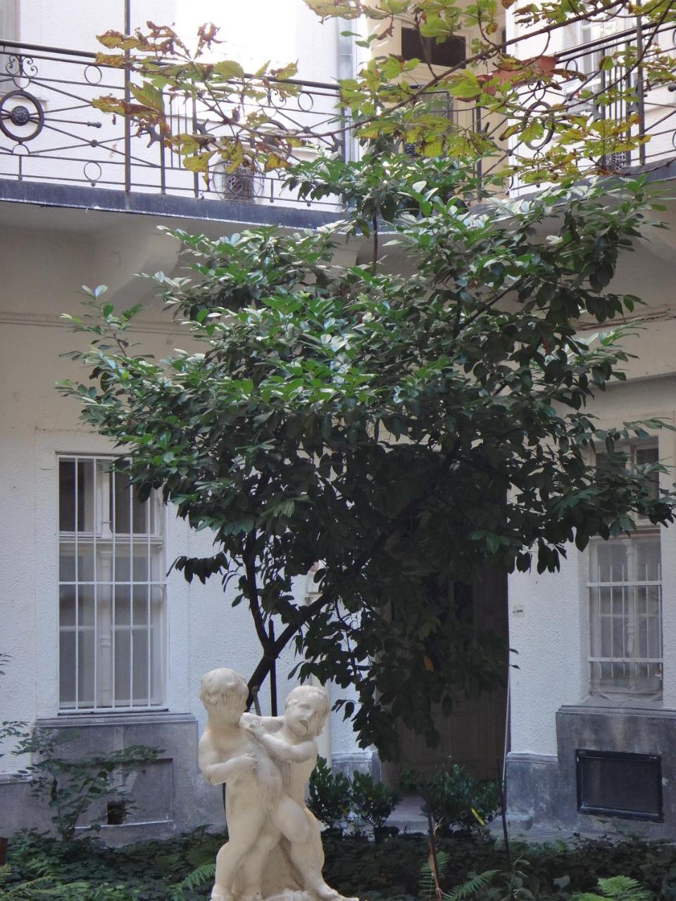 M Apartments - Downtown 2