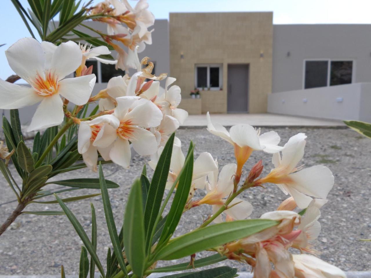 Tesoro Del Mare (Adults Only)