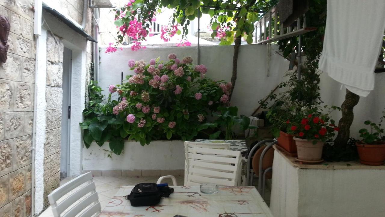 Apartments Previsic 1