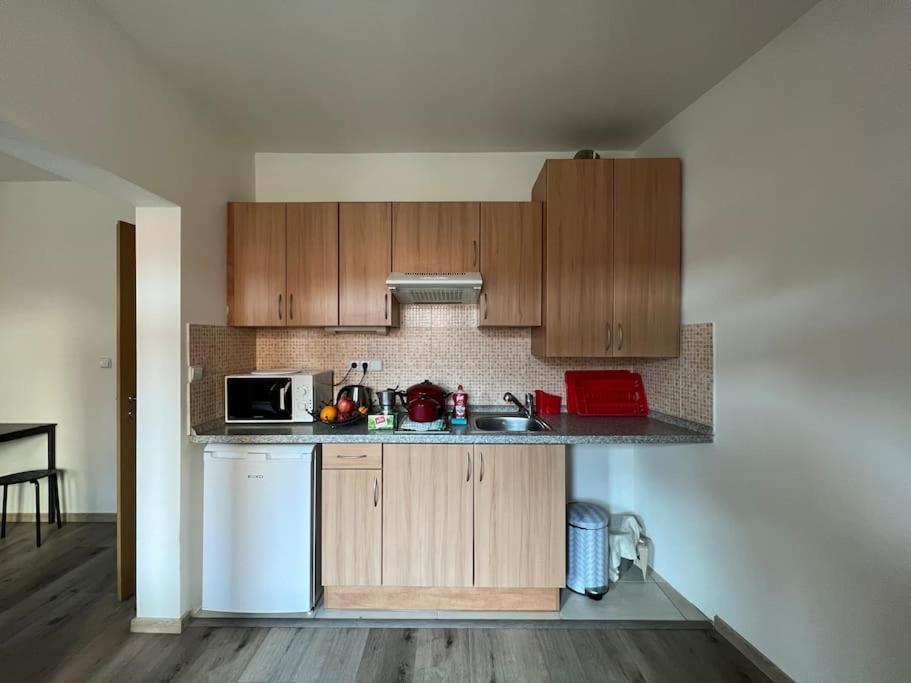 Modern Apartment Krymska & Francouzska Street 1