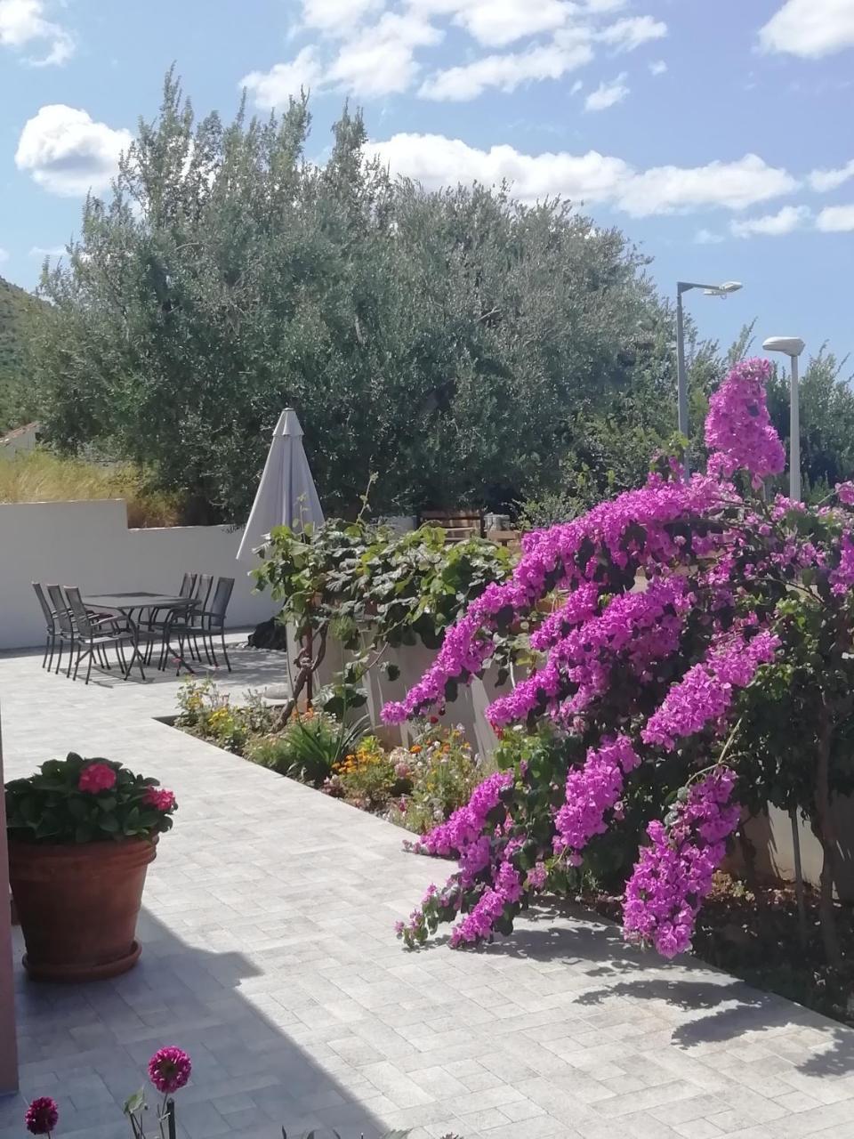 Apartment Eli - Sea View 2