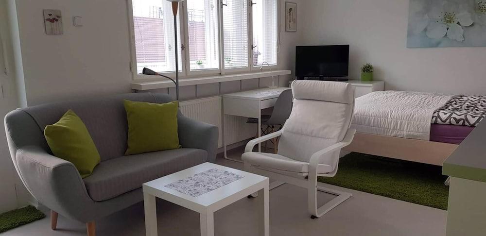 Hotel Flat in the Heart of Prague 1