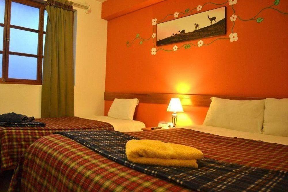 Net House Bed & Breakfast 2