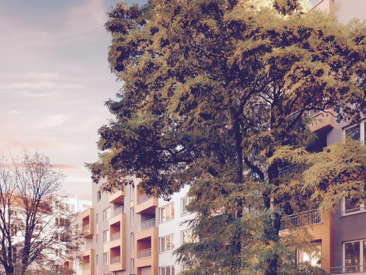 Apartement Blanc de Luxe 1