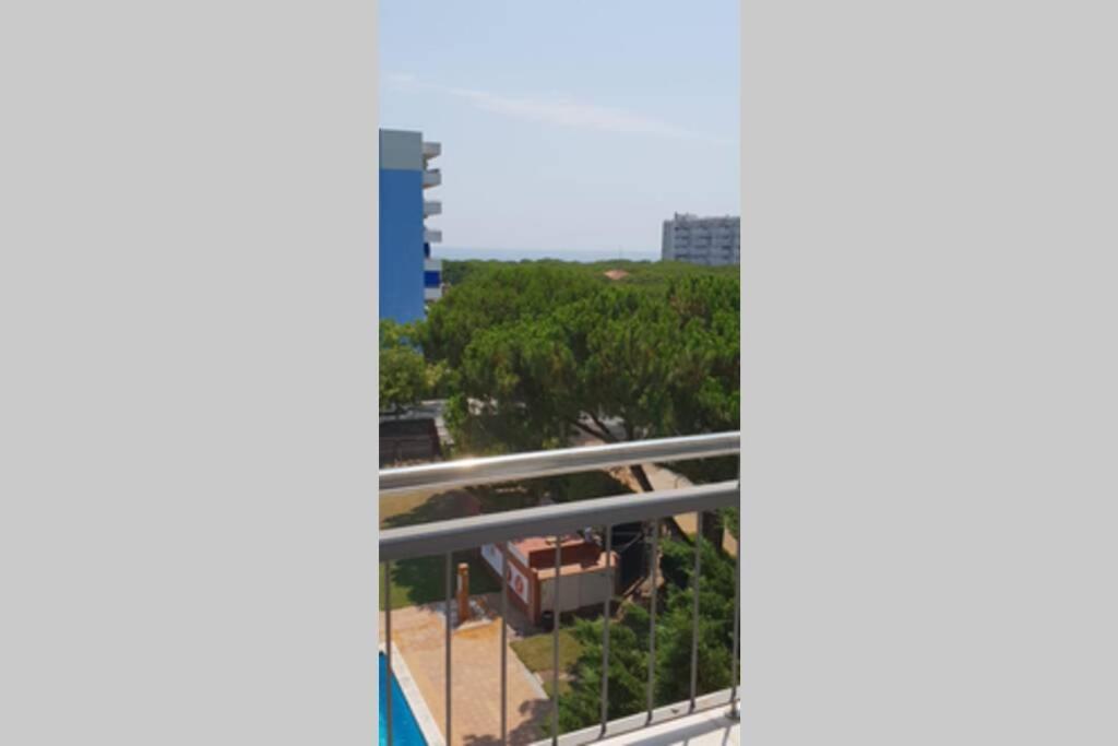 A Spacious Apartment with a Sea View 1