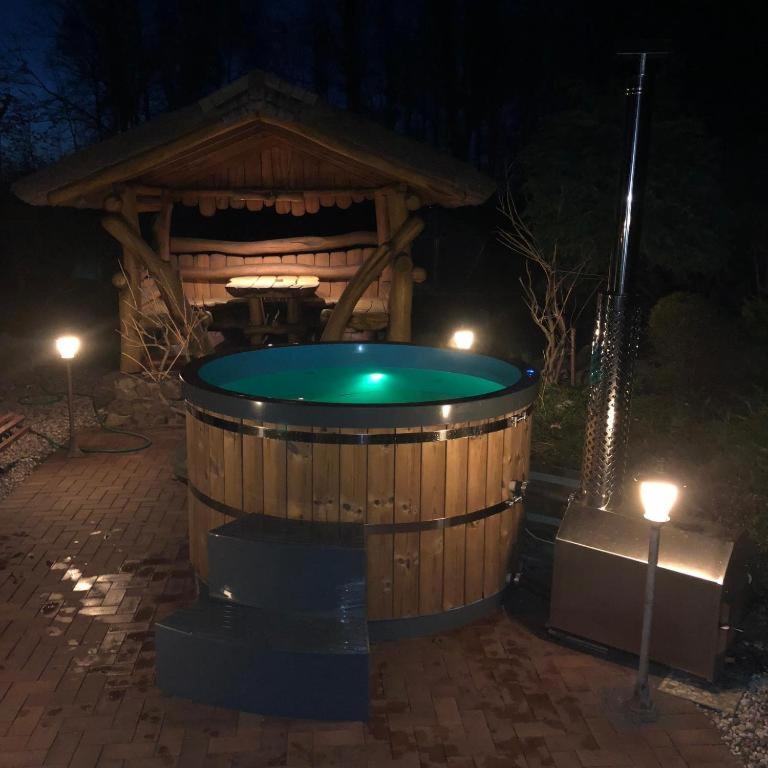 Luxury Villas Kaunas 1