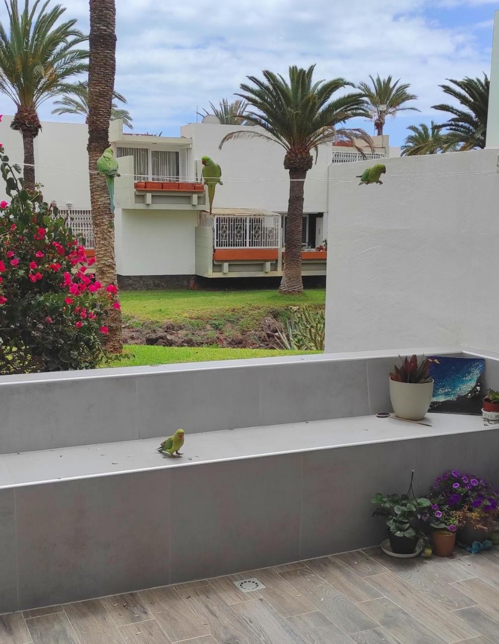 Ideal Holiday Apartment in the South of Tenerife 1