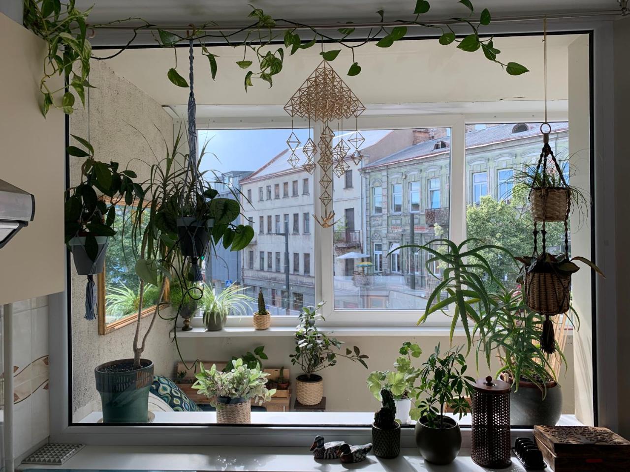 Three Bedroom with Two Terraces for 7people+Baby 2