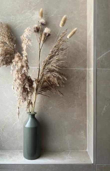 Why Paris ? Why Montmartre ? 1