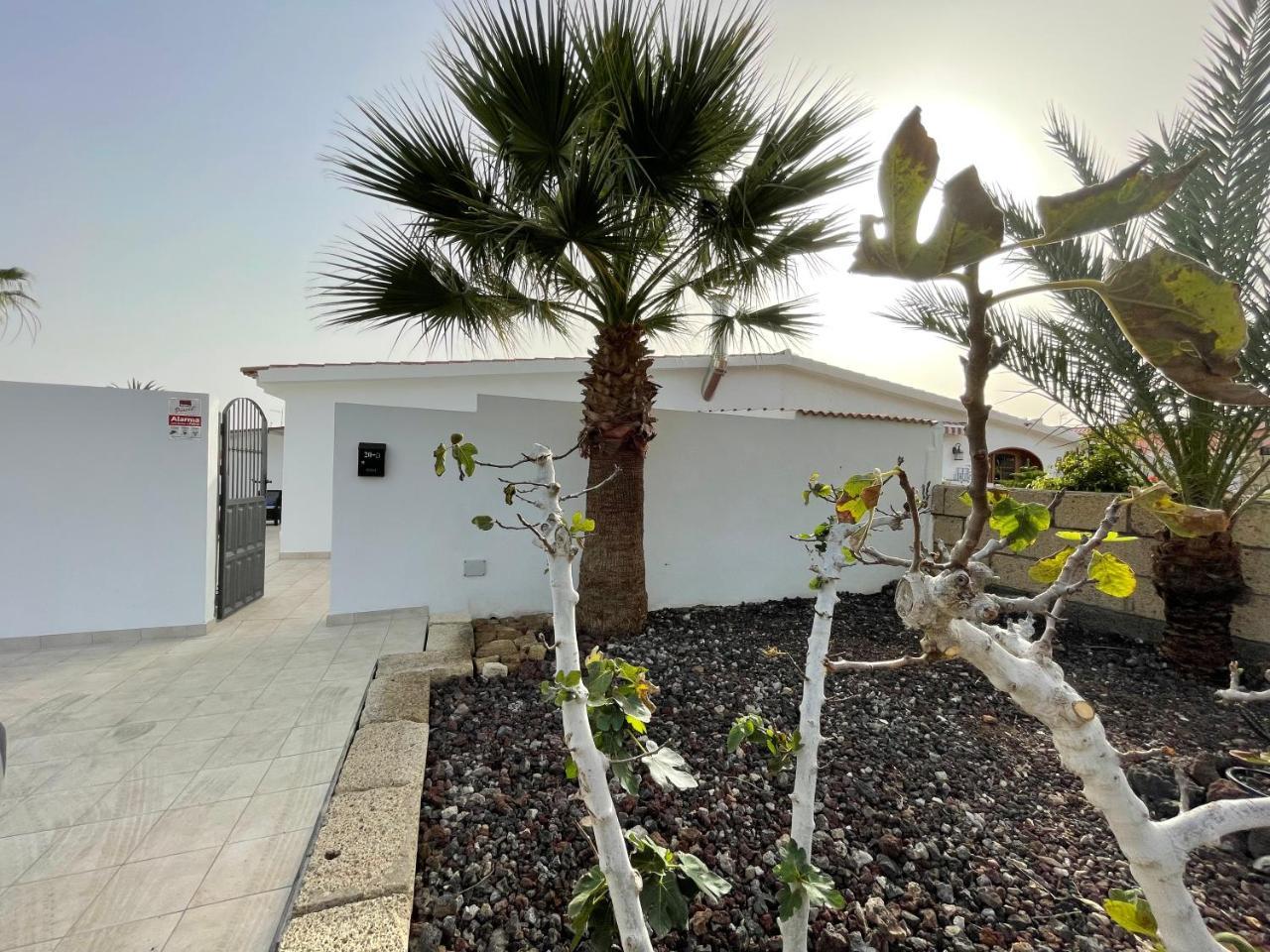 Lovely Home Casa Tamaide - Costa Del Silencio -