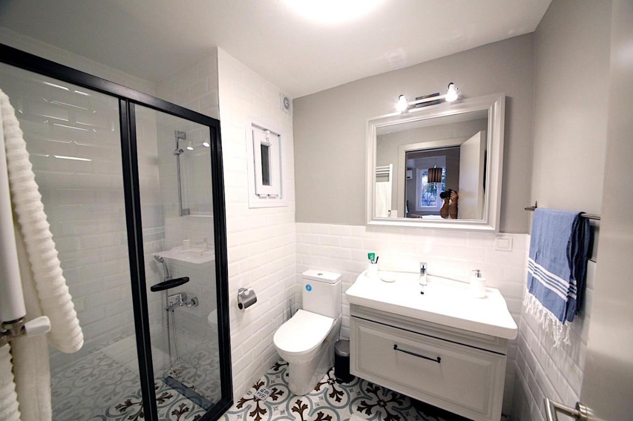 Superior Refurbished Flat in the Heart of Istanbul 2