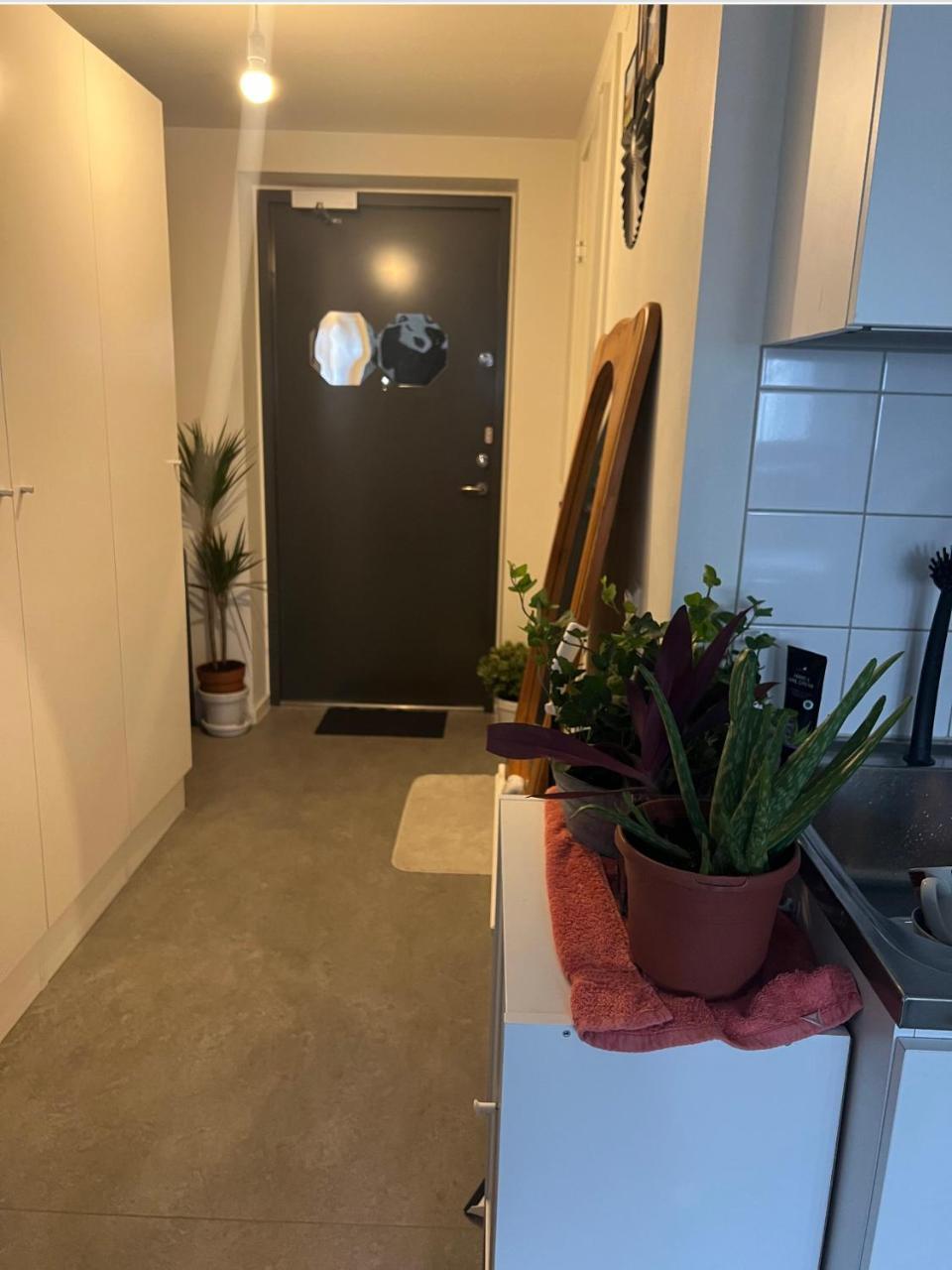 Cozy Studio Apartment-Home Away From Home 2