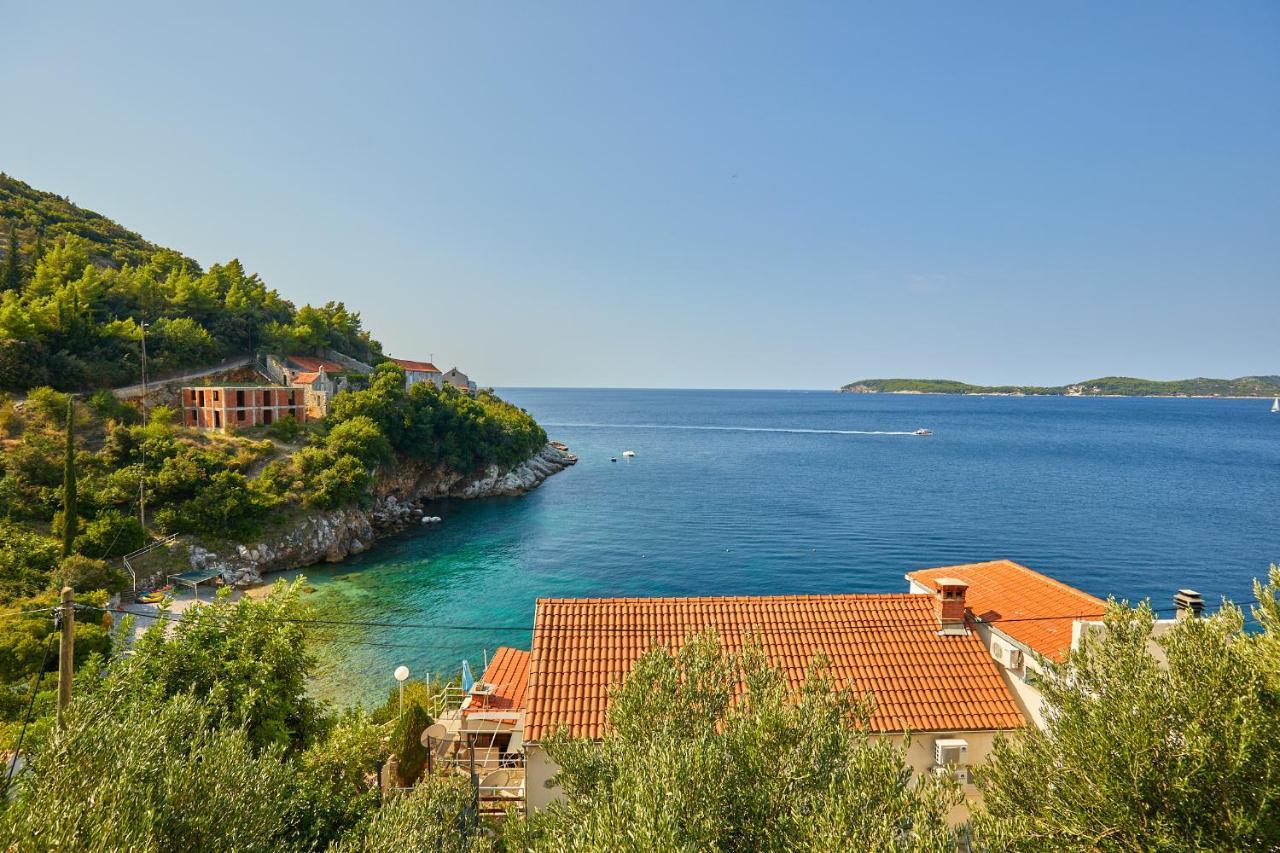 Hedera Estate, Hedera A53 1