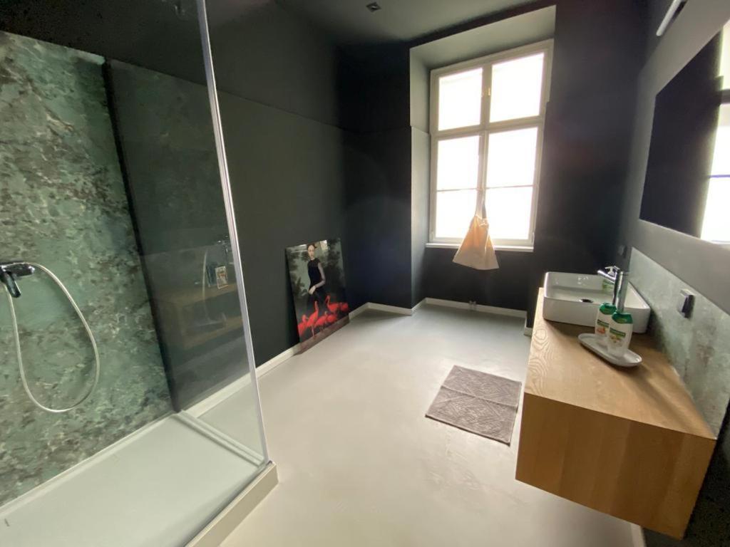 Luxury City Apartment Downtown Vienna 2