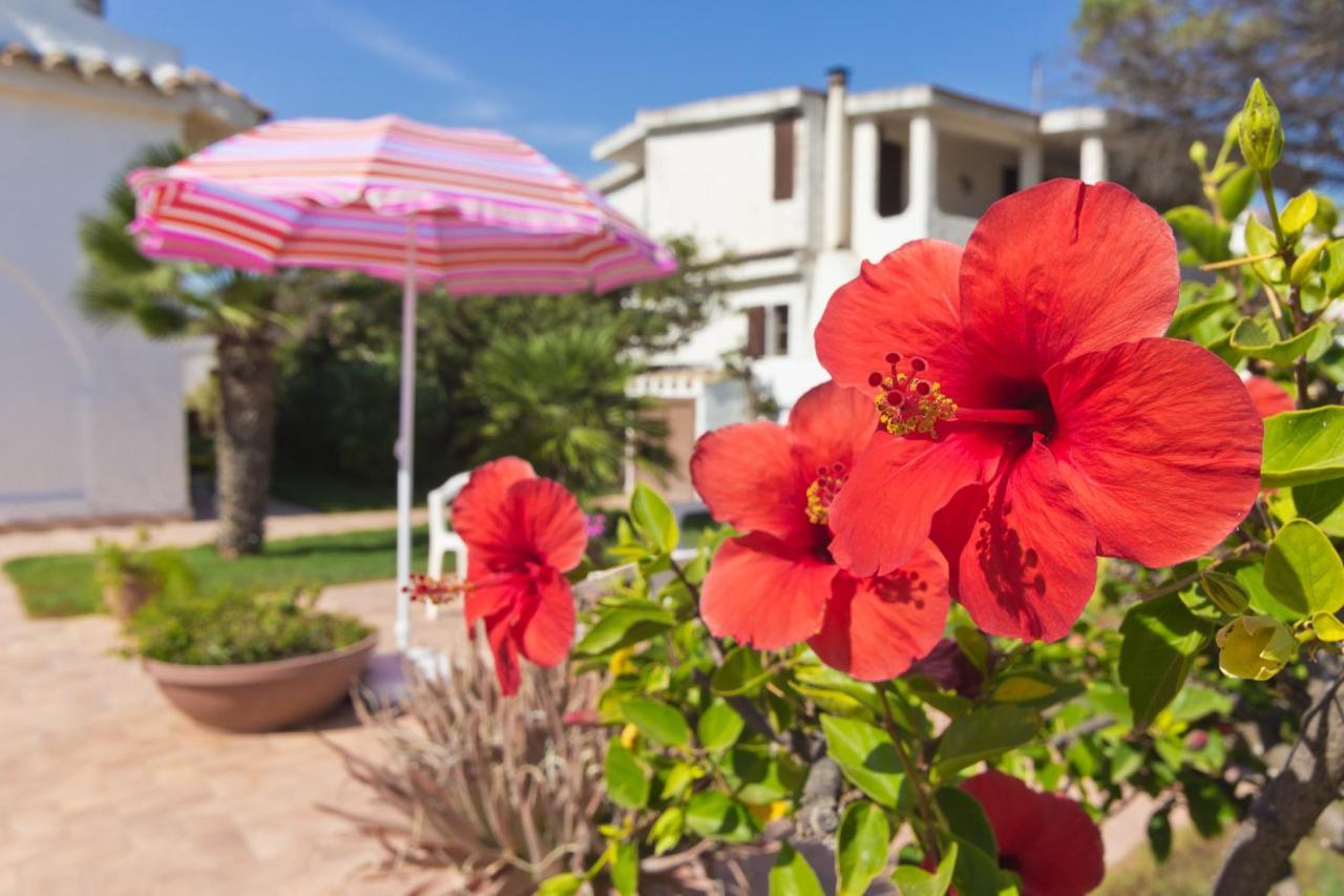 Casa Marina Sulla Spiaggia 1