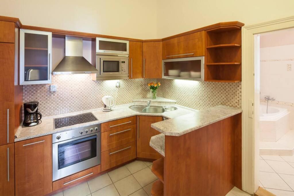 Ample,High-Ceilings Flat with Parquets, Vodickova 1