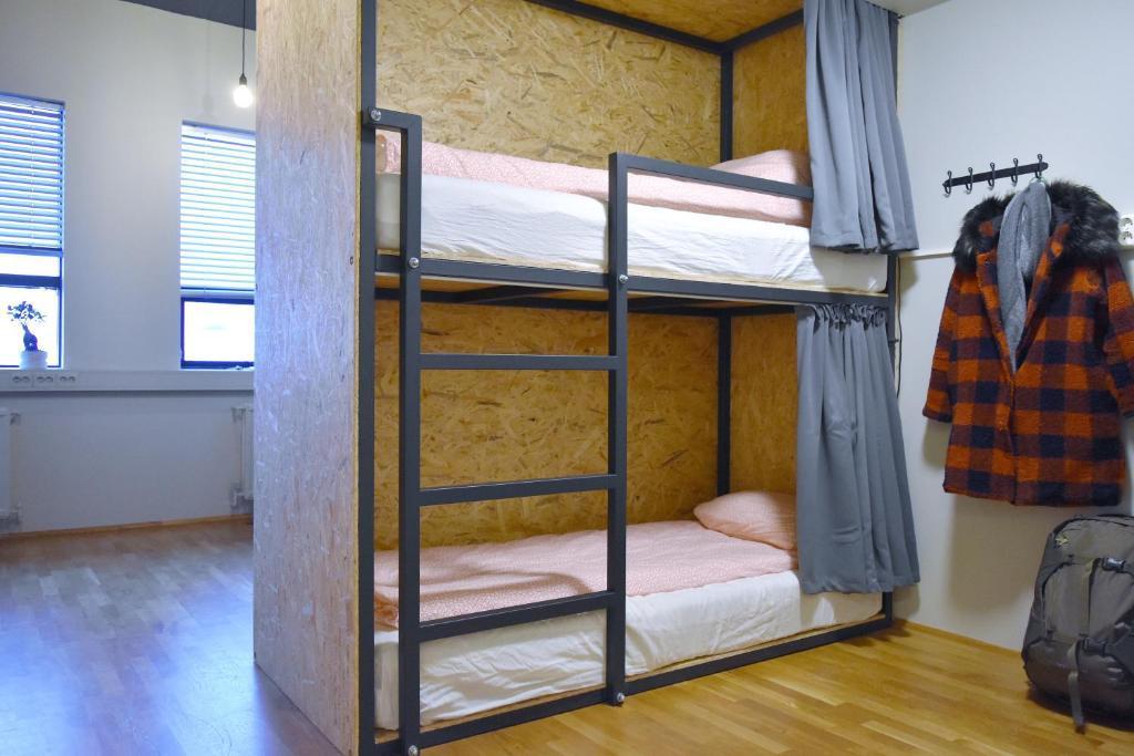 Vibrant Iceland Hostel 1