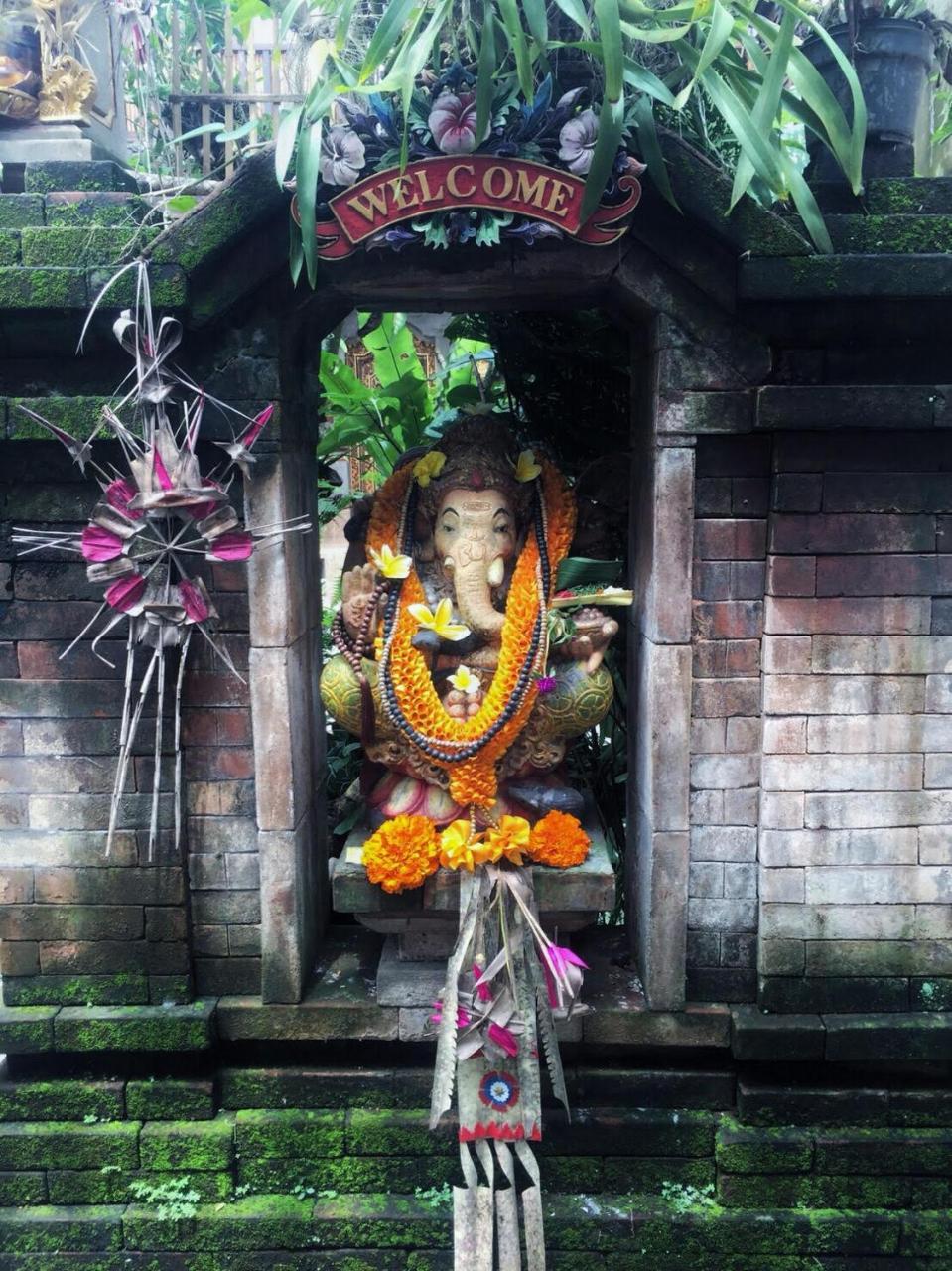 Alamanda Accomodation 2