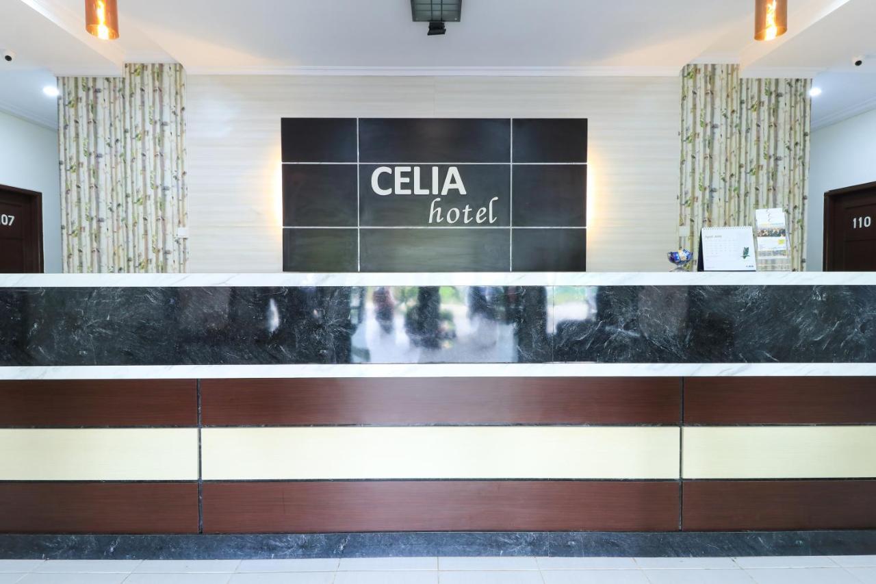 Hotel Celia 2