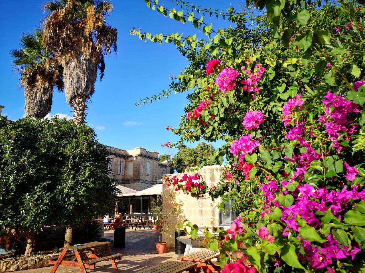 Sprachcaffe International - Hostel 2