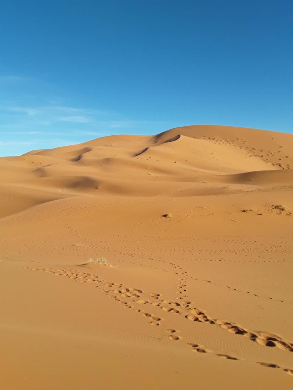 Auberge Restaurant Les Coquelicots 1