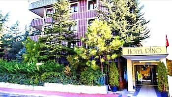 Ankara Hotel Pino